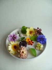 Essbare Blüten und Kräuter aus eigenm Anbau von Studio Mirabelle