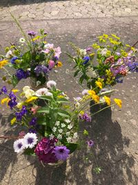 Bunte Blumenarrangements aus regionalen Schnittblumen